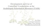 Development and Use of Controlled Vocabularies at the Arabidopsis Information Resource (TAIR) Sue Rhee Carnegie Institution Dept. Plant Biology rhee@acoma.stanford.edu.