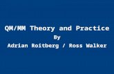 QM/MM Theory and Practice By Adrian Roitberg / Ross Walker.