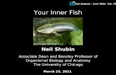 Neil Shubin Associate Dean and Bensley Professor of Organismal Biology and Anatomy The University of Chicago Hot Science - Cool Talks Vol. 70 March 25,
