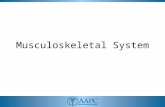 Musculoskeletal System. CPT ® CPT® copyright 2011 American Medical Association. All rights reserved. Fee schedules, relative value units, conversion factors.