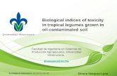 Biological indices of toxicity in tropical legumes grown in oil-contaminated soil Dinora Vázquez-Luna Facultad de ingeniería en Sistemas de Producción.