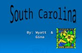 By: Wyatt & Gina. The name of our colony is South Carolina. South Carolina was founded in 1763. The colony’s founder was King Charles the 1 st.