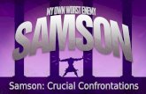 Samson: Crucial Confrontations. Judges 14:19-15:8 19 And the Spirit of the L ORD rushed upon him, and he went down to Ashkelon and struck down thirty.
