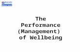 The Performance (Management) of Wellbeing. What are the roles of wellbeing measures in the implementation of public policy: commissioning & performance.
