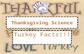 Thanksgiving Science Turkey Facts!!!. Turkey Numbers They can fly for short bursts up to 55 mph They run up to 25 mph They have a 270 degree field of.