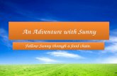 An Adventure with Sunny Follow Sunny through a food chain.