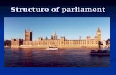 Structure of parliament. Origins of parliament Kings always had to consult with leading, powerful nobles Kings always had to consult with leading, powerful.