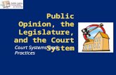 Public Opinion, the Legislature, and the Court System Court Systems and Practices.