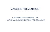 VACCINE-PREVENTION VACCINES USED UNDER THE NATIONAL IMMUNIZATION PROGRAMME.