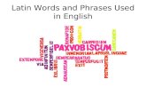 Latin Words and Phrases Used in English. Ad infinitum Without end.