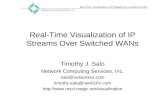 Network Computing Services, Inc. Real-Time Visualization of IP Streams over Switched WANs Real-Time Visualization of IP Streams Over Switched WANs Timothy.