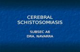 CEREBRAL SCHISTOSOMIASIS SUBSEC A6 DRA. NAVARRA. 1. Pathogenesis of hepato-splenic manifestations of Schistosoma infection CENTENO, Lisa Joy S.
