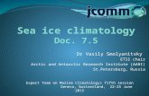 Dr Vasily Smolyanitsky ETSI chair Arctic and Antarctic Research Institute (AARI) St.Petersburg, Russia Sea ice climatology Doc. 7.5 Expert Team on Marine.
