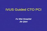 IVUS Guided CTO PCI Fu Wai Hospital Jie Qian. Different IVUS Catheter Atlantis SR pro2 (Boston) Eagle Eye (Volcano)