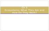 Ch 3 Ecosystems: What They Are and How Do They Work?