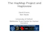 The HapMap Project and Haploview David Evans Ben Neale University of Oxford Wellcome Trust Centre for Human Genetics.