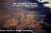 The Columbia Plateau: A Land of Many Floods Olivia Miller & Morgan Rosenberg.