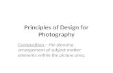 Principles of Design for Photography Composition – the pleasing arrangement of subject matter elements within the picture area.
