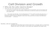 Cell Division and Growth Why do the cells need to divide? There are two main reasons for the cells to divide 1. Cell volume to surface area ratio: Cells.