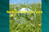 Natural Resources. What Are Our Natural Resources and why are they so important? What Are Our Natural Resources and why are they so important? ( Read.