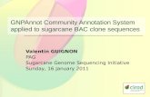 GNPAnnot Community Annotation System applied to sugarcane BAC clone sequences Valentin GUIGNON PAG Sugarcane Genome Sequencing Initiative Sunday, 16 January.