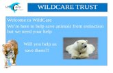 Welcome to WildCare We’re here to help save animals from extinction but we need your help Will you help us save them?! WILDCARE TRUST NEXT.