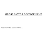 GROSS MOTOR DEVELOPMENT Presented By Joshua Weier.
