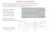 20. Lecture WS 2006/07Bioinformatics III1 V20 Extreme Pathways introduced into metabolic analysis by the lab of Bernard Palsson (Dept. of Bioengineering,