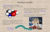 Amino Acids Plants can manufacture all the amino acids they require, but animals must obtain a certain number of ready-made essential amino acids from.