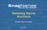 ICANN / Mar Del Plata April 2005 Deleting Name Auctions.