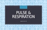 C PULSE & RESPIRATION Unit III: Ch. 19. Pulse & Respiration p. 321 Counted together, first pulse, then respirations Keep fingers on pulse while counting.