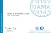 Sparsity Technologies & DAMA-UPC Aules d’empresa 2011 DEX Use Cases.