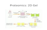 Proteomics: 2D Gel. Proteome analysis 장치 (2D) Root ProteomeNodule Proteome.