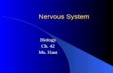 Nervous System Biology Ch. 42 Ms. Haut. Function of Nervous System Sensory Input – Signals received by sensory receptors in dermis of skin or internal.