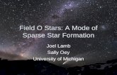 Field O Stars: A Mode of Sparse Star Formation Joel Lamb Sally Oey University of Michigan.