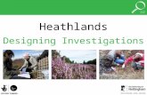 Heathlands Designing Investigations © Amy Rogers.