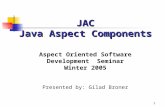 1 Aspect Oriented Software Development Seminar Winter 2005 Presented by: Gilad Broner JAC Java Aspect Components.