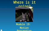 Where is it going? Module 19: Motion Perception Neural pathways in the brain combine information about: 1.eye-muscle activity 2.the changing retinal.