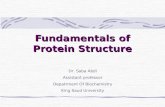 Fundamentals of Protein Structure Dr. Saba Abdi Assistant professor Depatrment Of Biochemistry King Saud University.