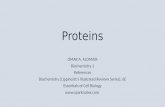 Proteins OMAR A. ALOMAIR Biochemistry 1 References Biochemistry (Lippincott's Illustrated Reviews Series), 6E Essentials of Cell Biology .