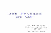 Jet Physics at CDF Sally Seidel University of New Mexico APS’99 24 March 1999.