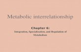Metabolic interrelationship Chapter 6: Integration, Specialization, and Regulation of Metabolism.