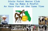 Dixie Paint Horse Club How to Make A Profit An Have Fun at the Same Time.