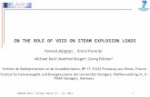 ERMSAR 2012, Cologne March 21 – 23, 2012 1 ON THE ROLE OF VOID ON STEAM EXPLOSION LOADS.