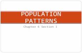 Chapter 6 Section 1 POPULATION PATTERNS. The People 5% of world’s pop. Canada: 35.1 million US: 319 million  3 rd largest All are immigrants or descendants.