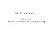 Bird ID and calls Call website:  LINK.