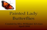 Painted Lady Butterflies Created by Mrs. Williams’ K5 class April 2010.