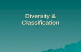 Diversity & Classification Objective A Students will define the criteria used for classifying organisms.