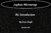 Soybean Microarrays Microarray construction An Introduction By Steve Clough November 2005.