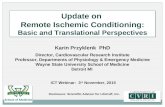Update on Remote Ischemic Conditioning: Basic and Translational Perspectives Update on Remote Ischemic Conditioning: Basic and Translational Perspectives.